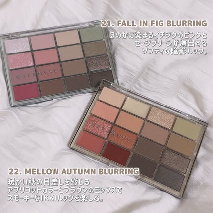 ソフトブラーリングアイパレット/wakemake/アイシャドウパレットを使ったクチコミ(2枚目)