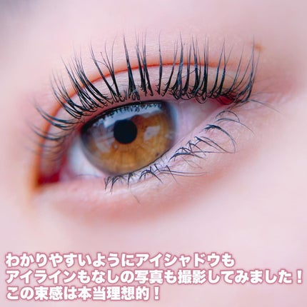 キングダム 束感カールマスカラ/キングダム/マスカラを使ったクチコミ(5枚目)