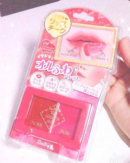 BWティントグラデーションパレット/ビューティーワールド/その他化粧小物を使ったクチコミ(1枚目)