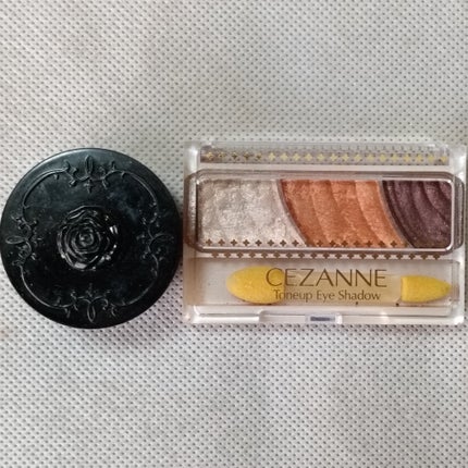 グロウツインカラー/キャンメイク/アイシャドウパレットを使ったクチコミ(2枚目)