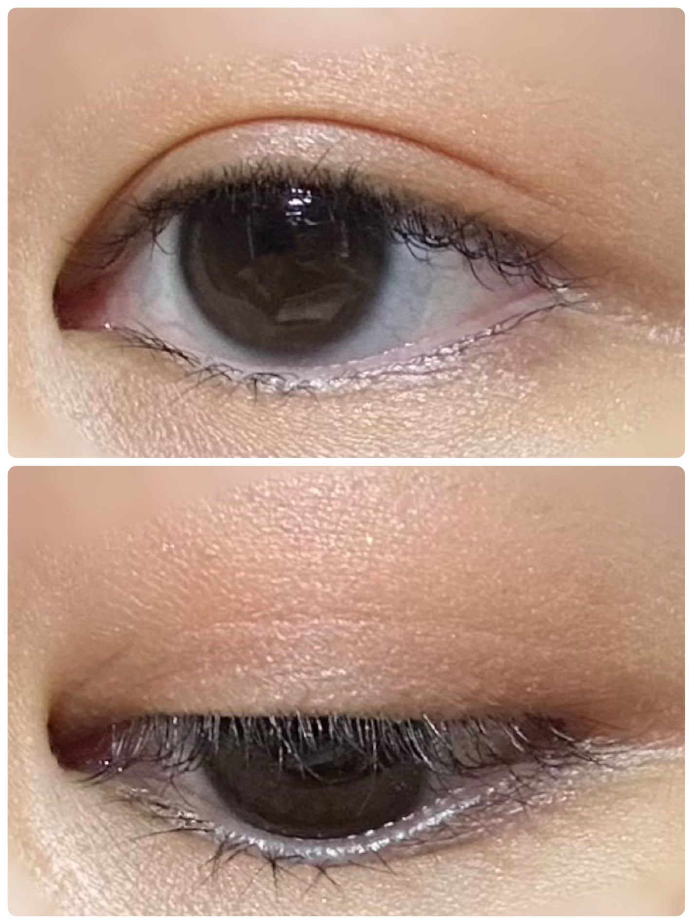 デザイニングブラウンアイズ/KATE/アイシャドウパレットを使ったクチコミ(2枚目)