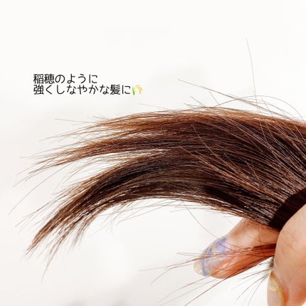 さらとろライスオイル(洗い流さないトリートメント)/WANOMI/ヘアオイルを使ったクチコミ(4枚目)