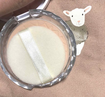 UVクリアフェイスパウダー/CEZANNE/プレストパウダーを使ったクチコミ(3枚目)