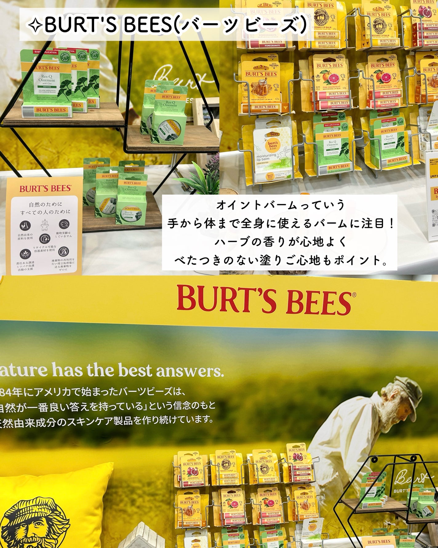 waniwaniコスメ@ふぉろば on LIPS 「ロフトグリーンプロジェクト~サステナブルビューティー&ライフ~..」(5枚目)