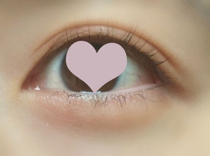 アイパレット/sopo/アイシャドウパレットを使ったクチコミ(2枚目)