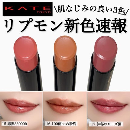 ケイト リップモンスター/KATE/口紅を使ったクチコミ(1枚目)