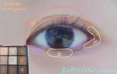 UR GLAM　BLOOMING EYE COLOR PALETTE/U R GLAM/パウダーアイシャドウを使ったクチコミ（2枚目）