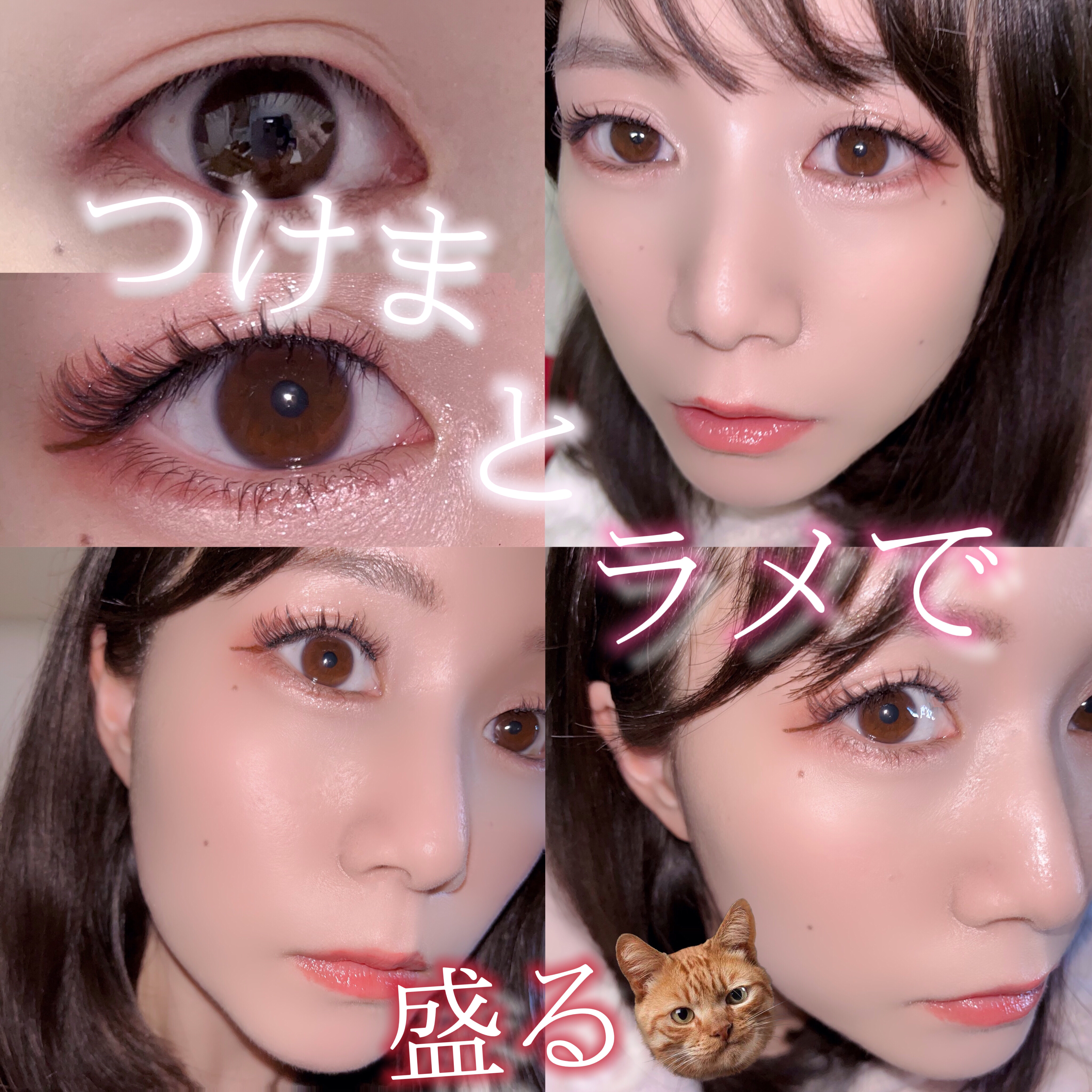 エクスプローラ12色 動物アイシャドウパレット/PERFECT DIARY/アイシャドウパレットを使ったクチコミ（1枚目）