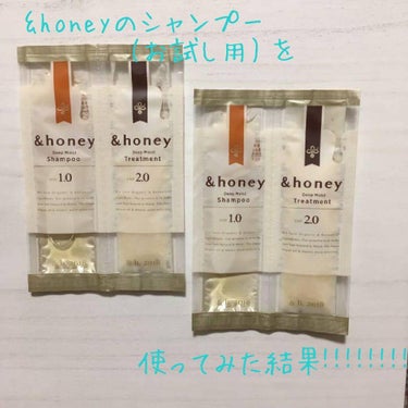 ディープモイスト シャンプー1.0／ヘアトリートメント2.0/&honey/シャンプー・コンディショナーを使ったクチコミ（1枚目）