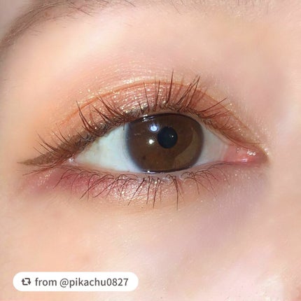 パラドゥ シングルアイシャドウ /パラドゥ/単色アイシャドウを使ったクチコミ(5枚目)