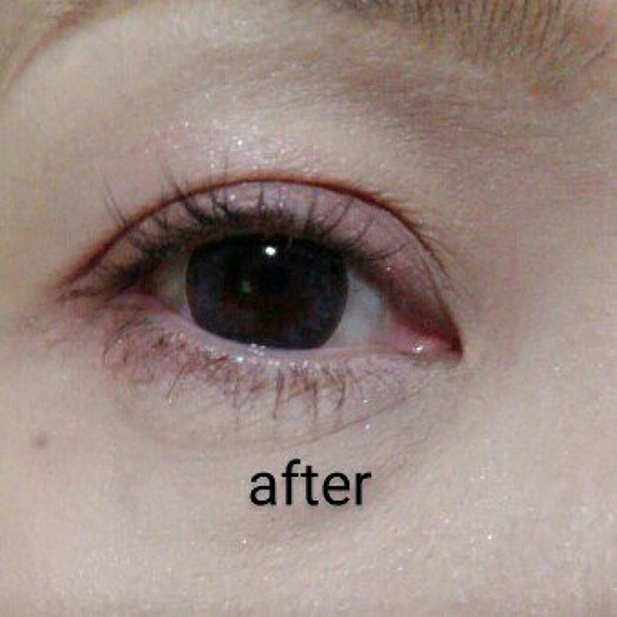 部分用つけまつげ/DAILY MUSE/つけまつげを使ったクチコミ(8枚目)