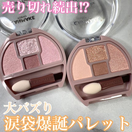 プランぷくコーデアイズ/キャンメイク/パウダーアイシャドウを使ったクチコミ(1枚目)