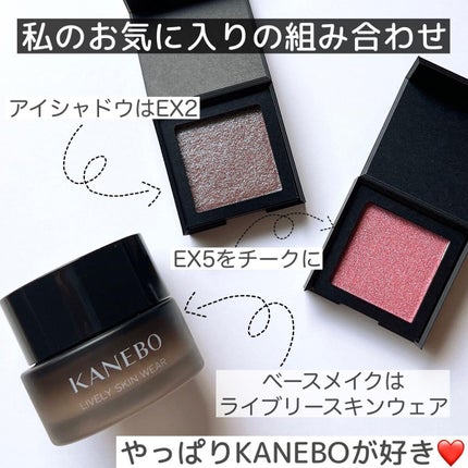 ブライトフューチャーボックス/KANEBO/単色アイシャドウを使ったクチコミ(10枚目)