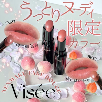 ネンマクフェイク ルージュ/Visée/口紅を使ったクチコミ(1枚目)