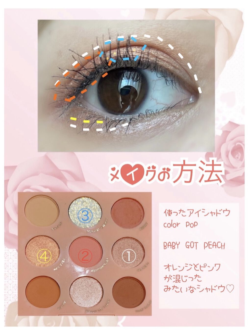 ColourPop Eye Palette-Baby Got Peach のクチコミ「今日はColourPopのBaby Got Peachを使ってメイクしたよ＼(^^)／

瞼の.....」（2枚目）