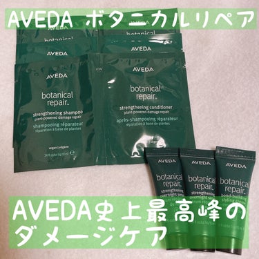 ボタニカル リペア リーブイン トリートメント/AVEDA/アウトバストリートメントを使ったクチコミ（1枚目）