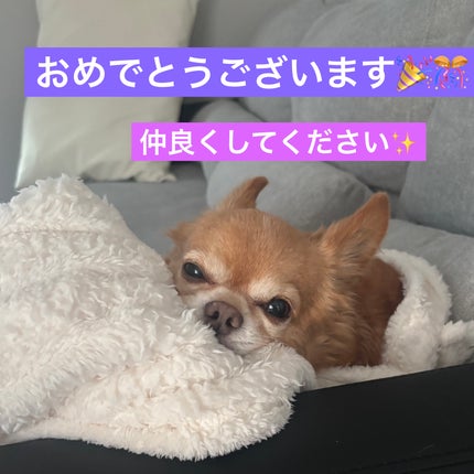 ネイル エナメル/ちふれ/マニキュアを使ったクチコミ(6枚目)