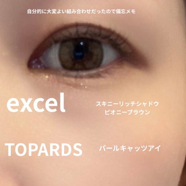 スキニーリッチシャドウ/excel/アイシャドウパレットを使ったクチコミ（1枚目）