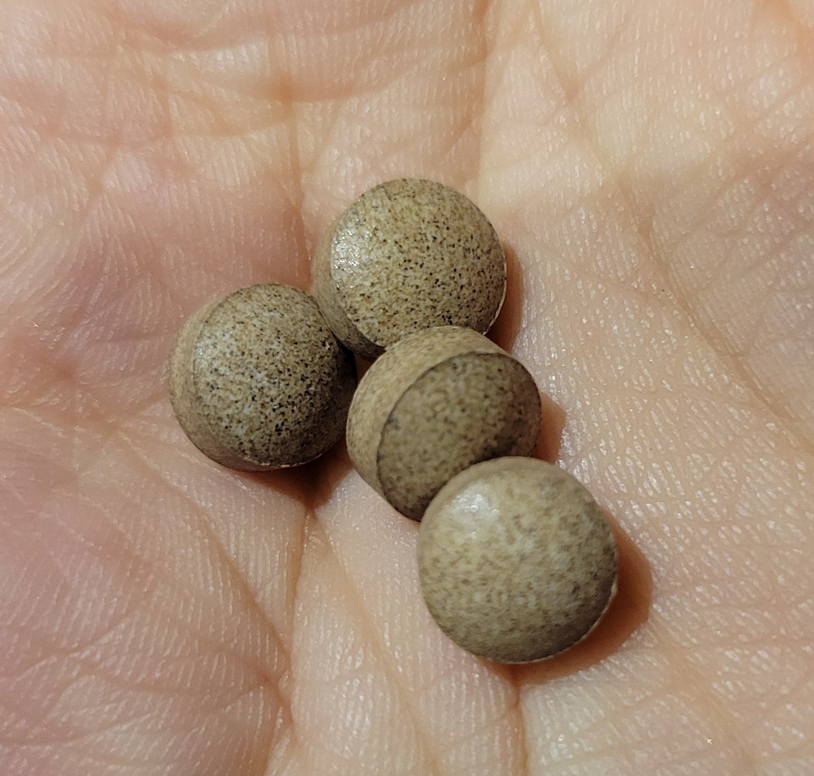 プレミアムカロリミット/ファンケル/ボディサプリメントを使ったクチコミ（2枚目）