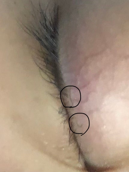 ラッシュジェリードロップ EX/MAJOLICA MAJORCA/まつげ美容液を使ったクチコミ(2枚目)