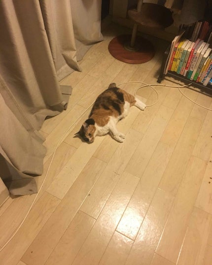 オペラ リップティント N/OPERA/リップティントを使ったクチコミ(1枚目)