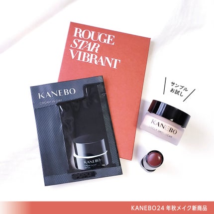 クリーム イン デイ/KANEBO/フェイスクリームを使ったクチコミ(3枚目)