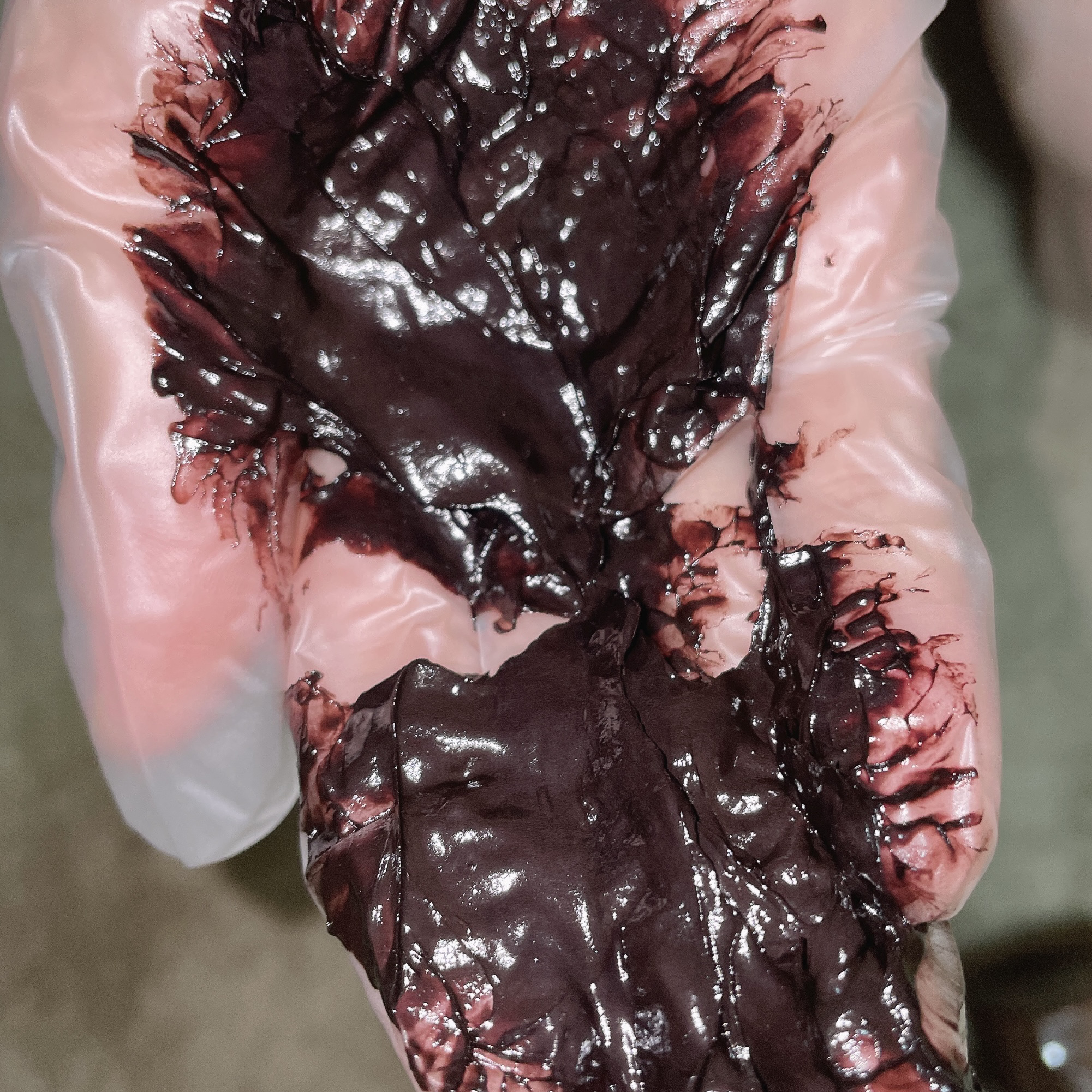 ベルタヘアカラートリートメント/BELTA(ベルタ)/ヘアカラーを使ったクチコミ（3枚目）