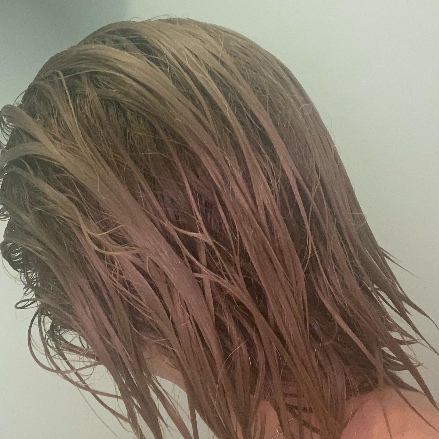 ビタシルクダメージリペアトリートメント（ローズブルーム）/ガランビュー/洗い流すヘアトリートメントを使ったクチコミ（3枚目）