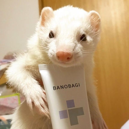 ミルクシスルリペアシカサンスクリーンプラス/BANOBAGI/日焼け止めミルクを使ったクチコミ(2枚目)