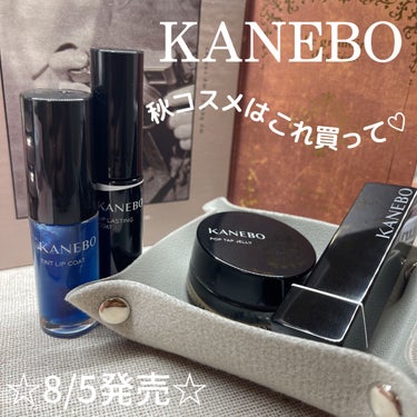 ティントリップコート/KANEBO/リップグロスを使ったクチコミ（1枚目）