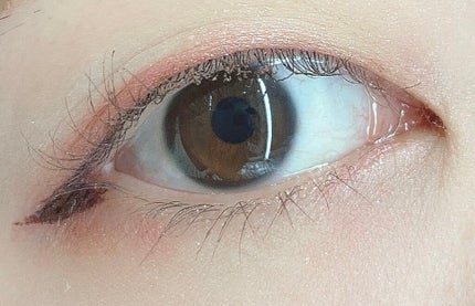 ショコラスウィート アイズ 105 ショコラスウィート アイズ(PLAZA・MINiPLA限定)/リンメル ロンドン/アイシャドウパレットを使ったクチコミ(2枚目)