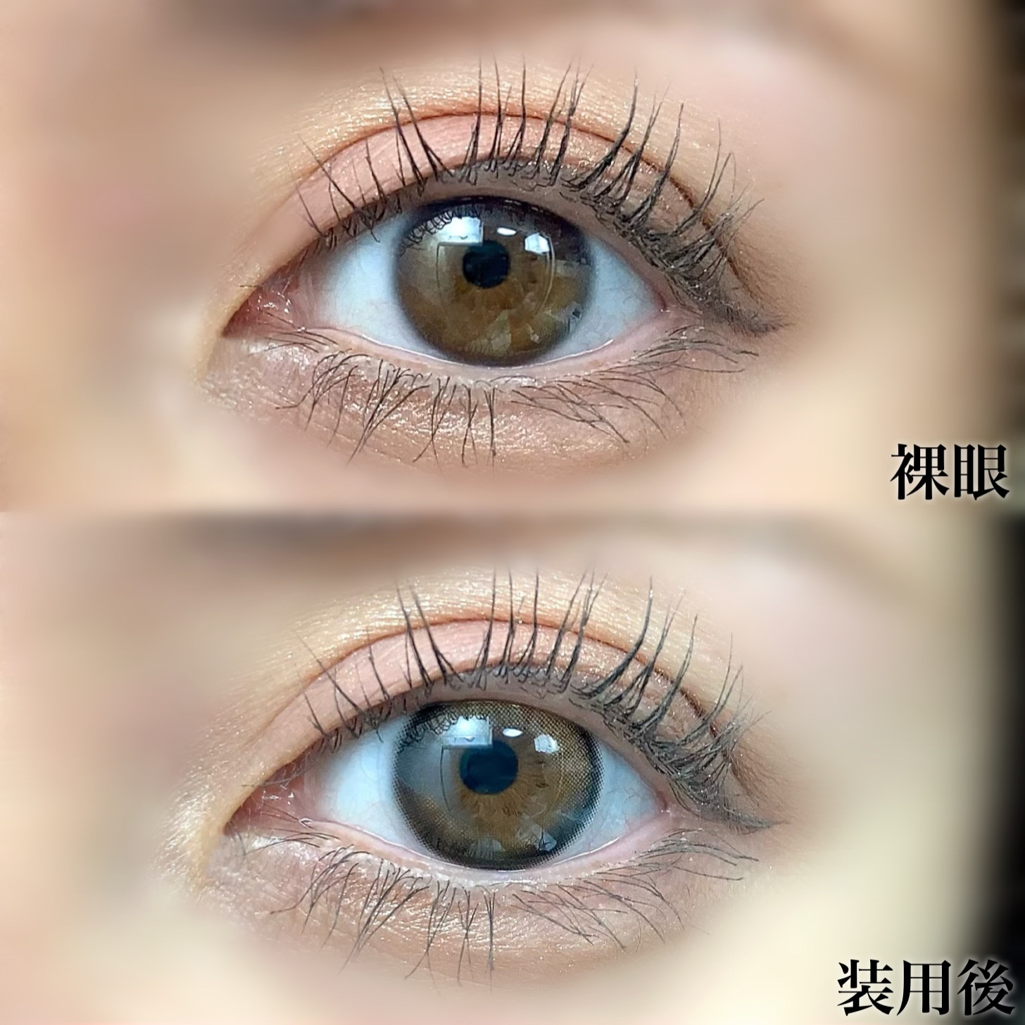 アニマルアイシャドウ(4シェード)/ZEESEA/アイシャドウパレットを使ったクチコミ（3枚目）