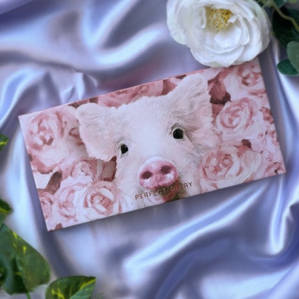 エクスプローラ12色 動物アイシャドウパレット/PERFECT DIARY/アイシャドウパレットを使ったクチコミ(2枚目)