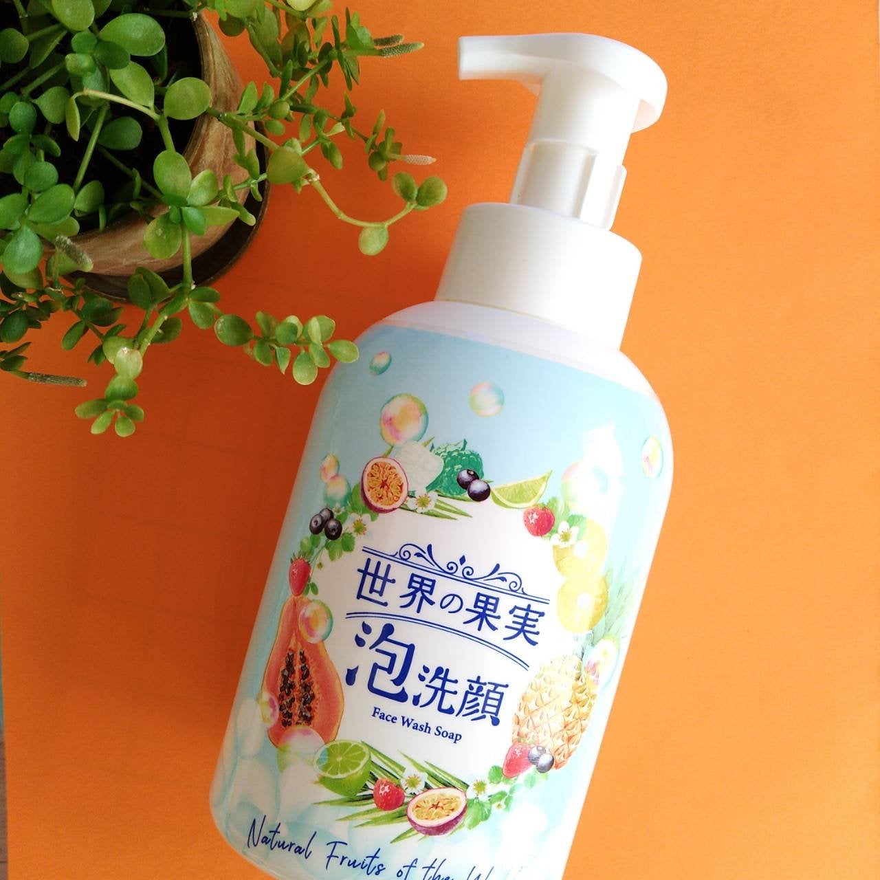 世界の果実 すっきり泡洗顔/世界の果実/泡洗顔を使ったクチコミ(2枚目)