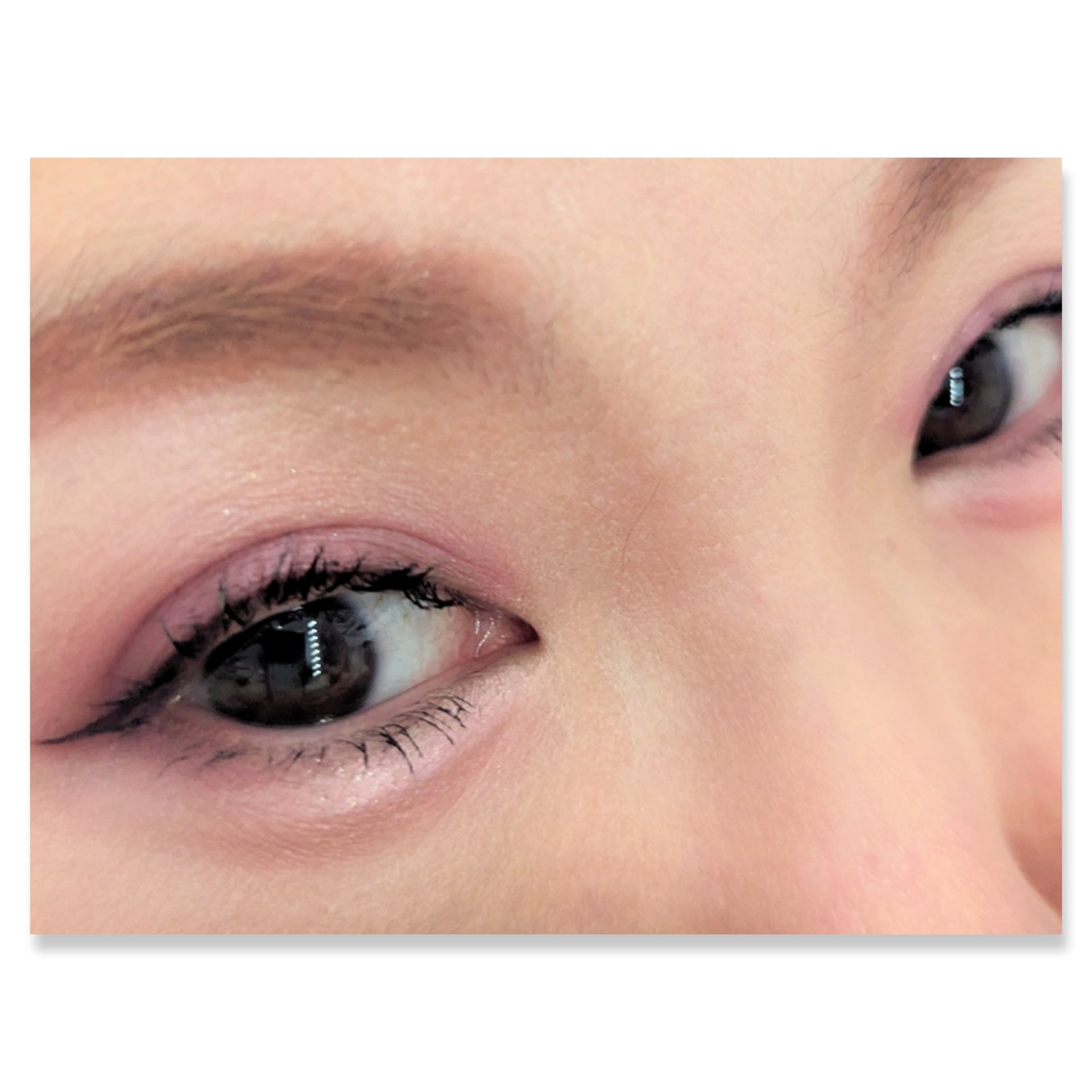 プレイカラー アイシャドウ ラベンダーランド【生産終了】/ETUDE/アイシャドウパレットを使ったクチコミ（2枚目）