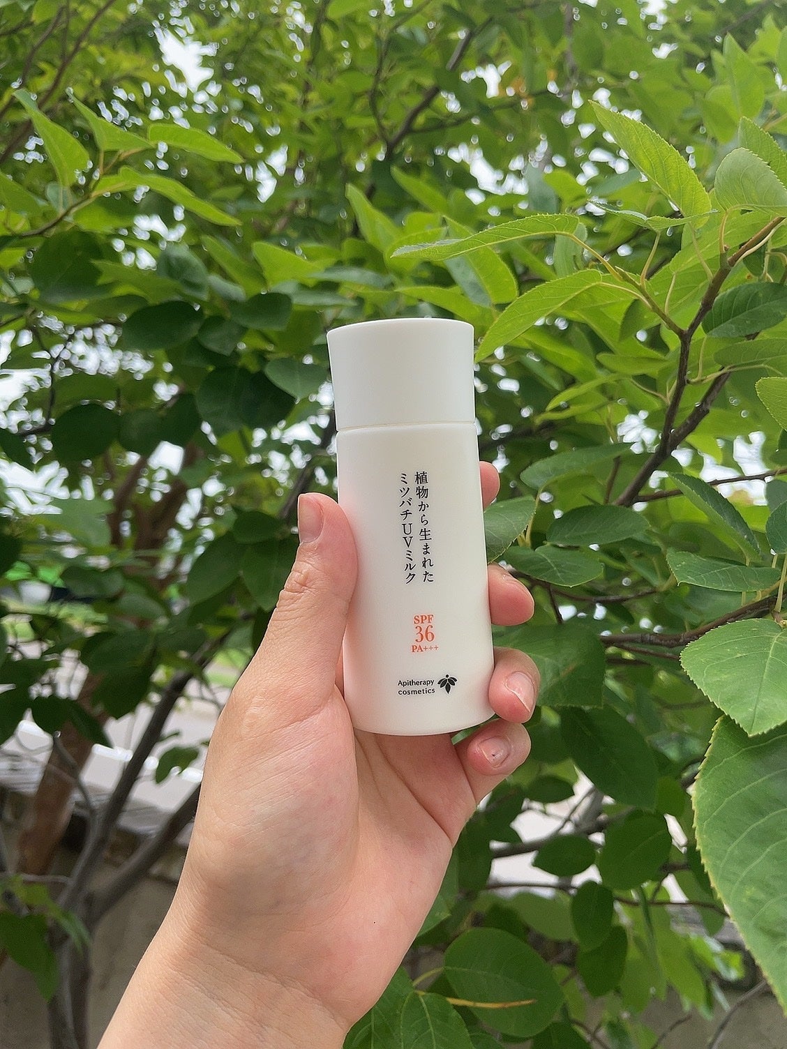 植物から生まれたミツバチUVミルク/アピセラピーコスメティクス/日焼け止めミルクを使ったクチコミ(1枚目)