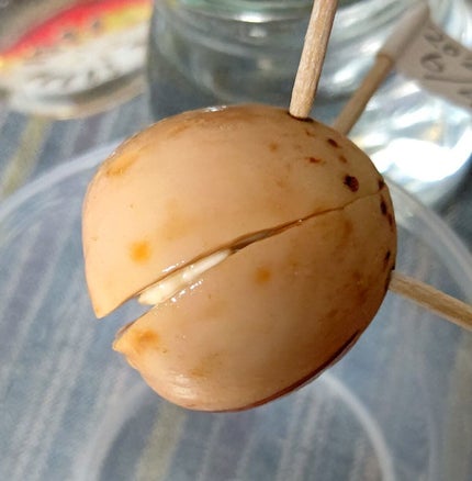 ガラス花瓶/DAISO/その他を使ったクチコミ(1枚目)