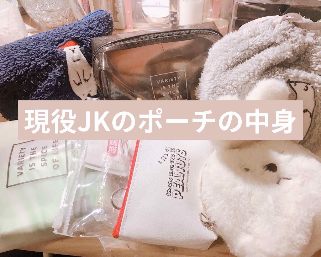 透花 on LIPS 「JKとはいえポーチ多すぎねぇ???どこに何入れたかたまに忘れる..」(1枚目)