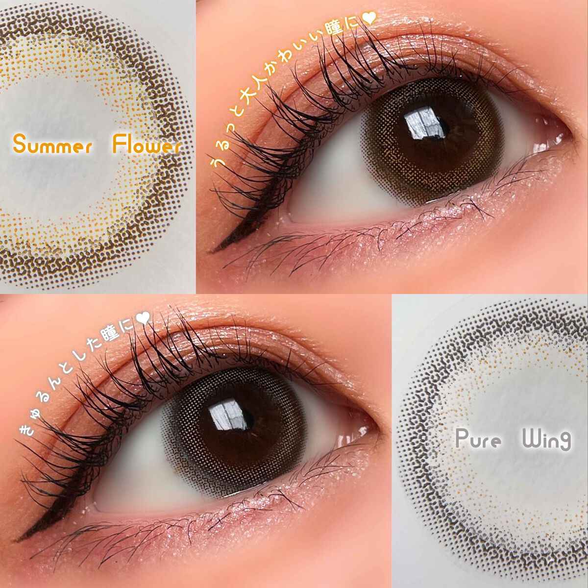 エバーカラーワンデー/エバーカラー/ワンデー（１DAY）カラコンを使ったクチコミ（2枚目）