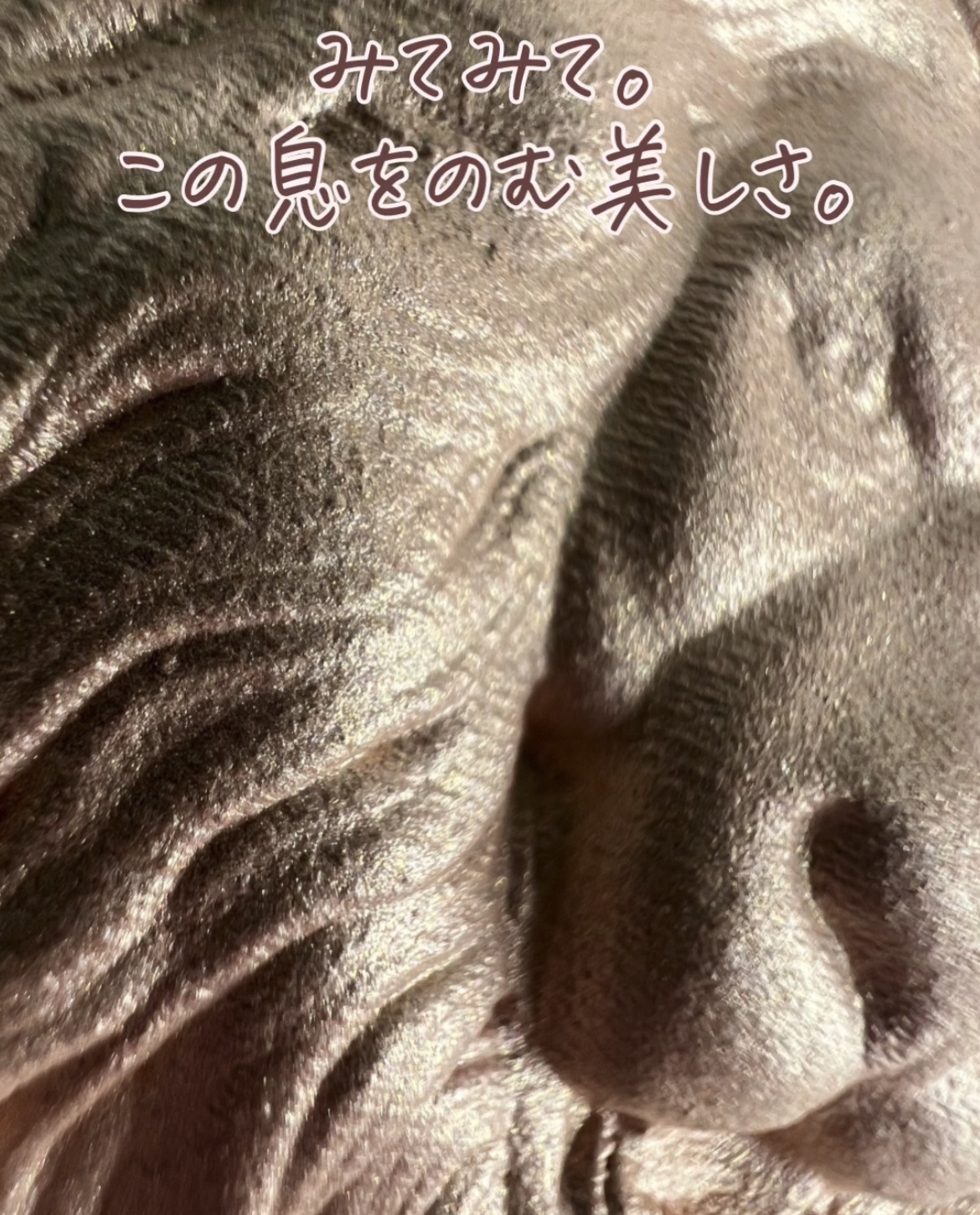 ライオン　ハイライト/元絵師/パウダーハイライトを使ったクチコミ（3枚目）