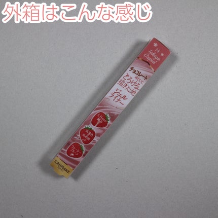 クリーミータッチライナー/キャンメイク/ジェルアイライナーを使ったクチコミ(8枚目)