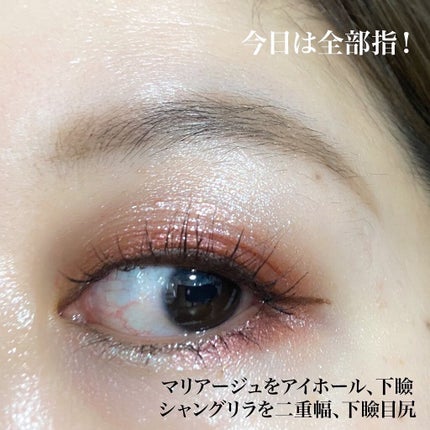 アディクション ザ アイシャドウ スパークル/ADDICTION/単色アイシャドウを使ったクチコミ(3枚目)