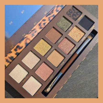 エクスプローラ12色 動物アイシャドウパレット/PERFECT DIARY/アイシャドウパレットを使ったクチコミ(4枚目)