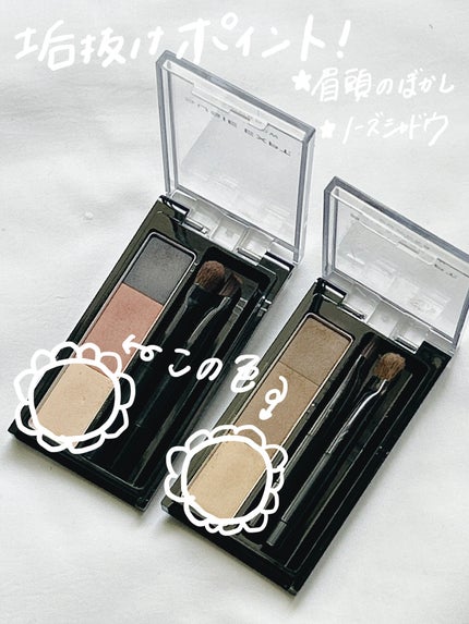 スージー エキスパートミックスアイブロウ パウダー/SUSIE N.Y./パウダーアイブロウを使ったクチコミ(7枚目)