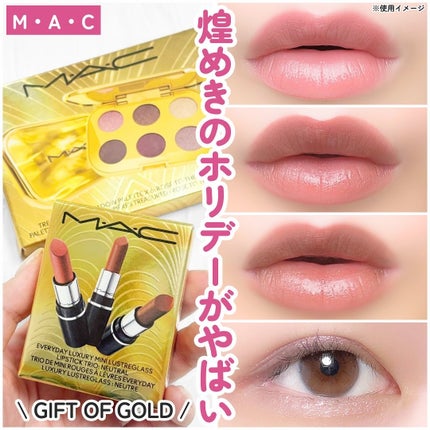 トレジャー アイシャドウ パレット ×6/M・A・C/アイシャドウパレットを使ったクチコミ(1枚目)