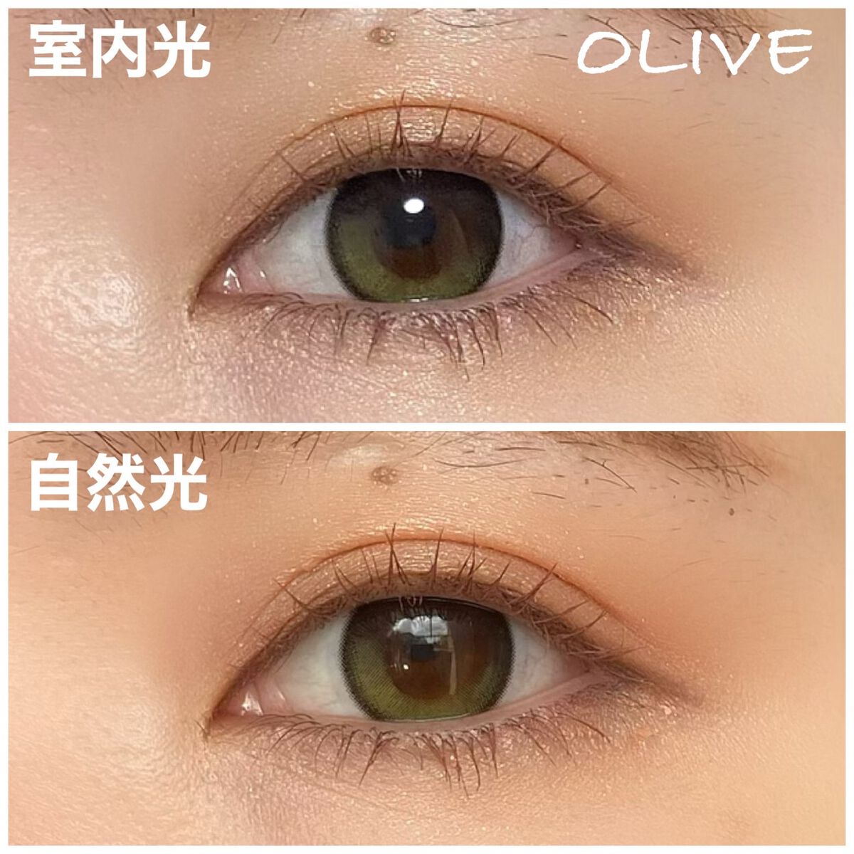 Secretive Kristen 1day/Hapa kristin/ワンデー(1DAY)カラコンを使ったクチコミ(4枚目)