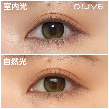 Secretive Kristen 1day/Hapa kristin/ワンデー(1DAY)カラコンを使ったクチコミ(4枚目)