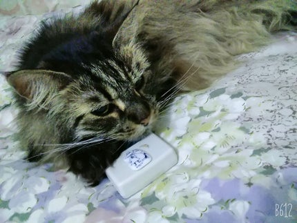 を使ったクチコミ(2枚目)