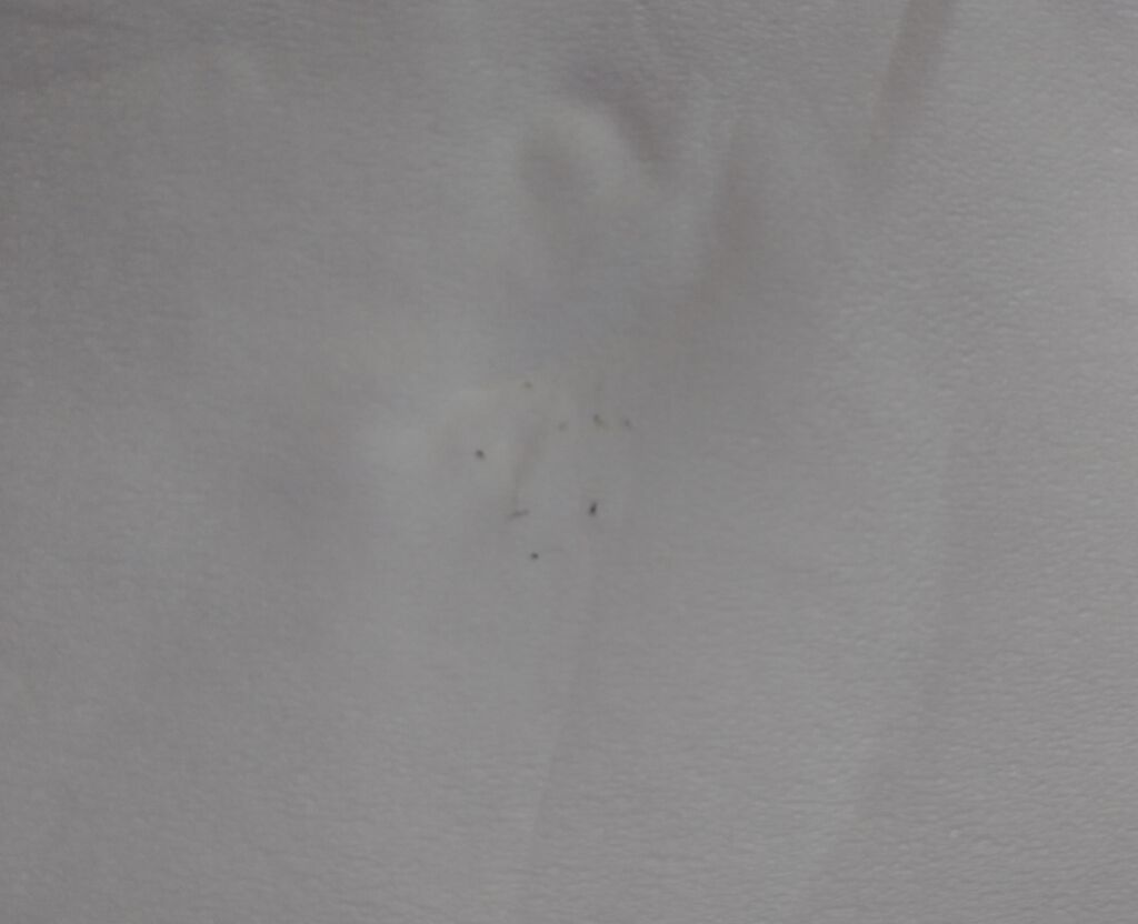 ホホバオイル/無印良品/ボディオイルを使ったクチコミ（2枚目）