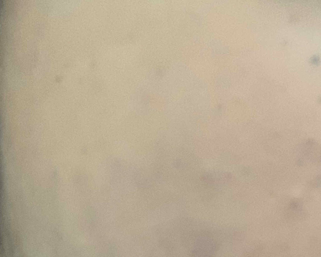 ブライトピュアベース/CandyDoll/化粧下地を使ったクチコミ(4枚目)